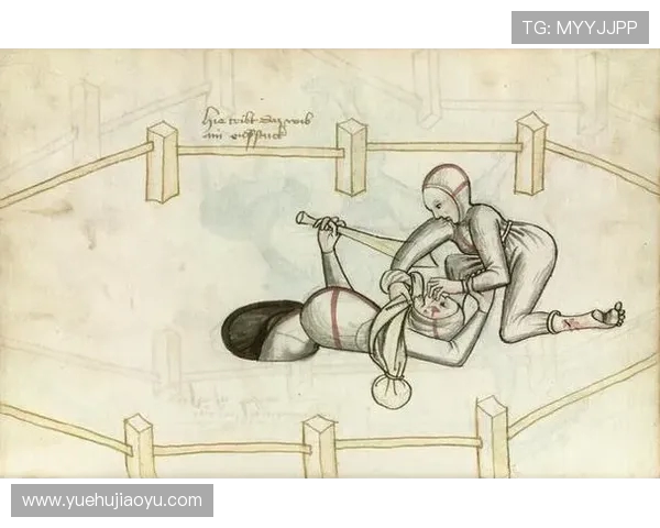 赛法斗:踢击独尊的优雅格斗艺术(2)